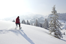 Schneeschuhwanderung im Bayerischen Wald